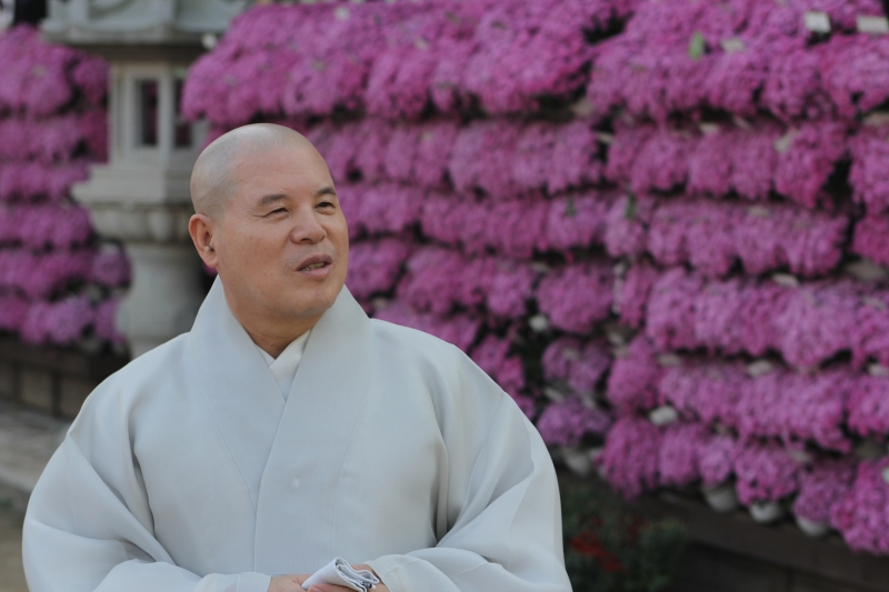 2014.10.10_조계사 국화(사서실) (74)